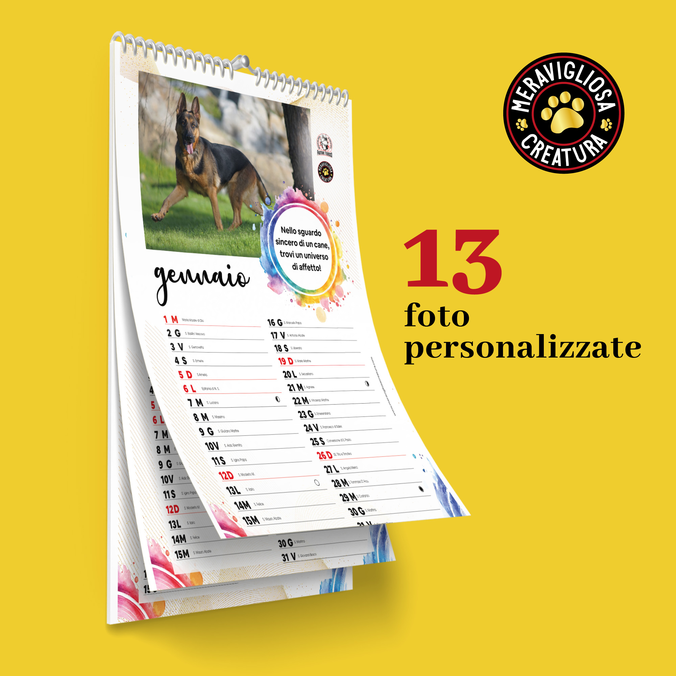 mokup_calendario3